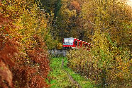 Durch den Wald den Berg hinauf