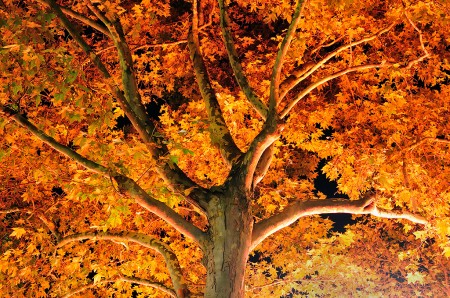 Herbst in NRW