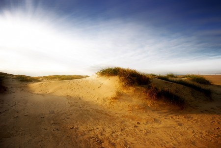 Fanø Strand - Sanddüne