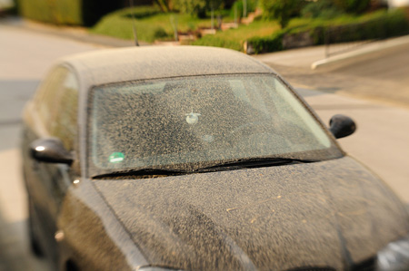 Versperrte Sicht: Blütenpollen nehmen Auto ein