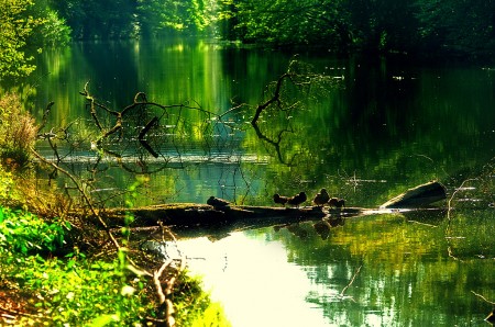 Wupper Vorsperre Dahlhausen