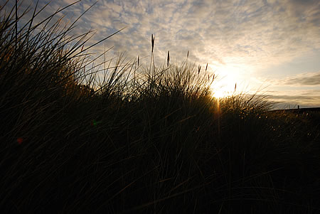 Sonnenaufgang hinter der Düne