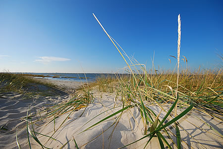 Blick auf Nordby