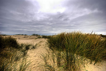 Fanø Strand