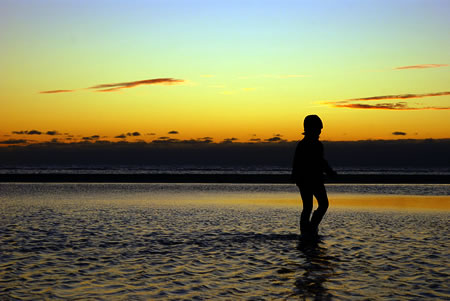 Hannah im Wattenmeer