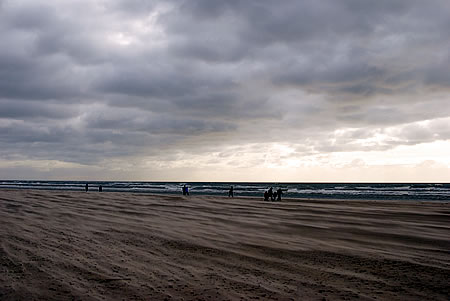 Gegen den Sturm - Sand fressen