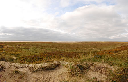 Ausblick vom Beobachtungsstand - Blickrichtung West - Sören Jessens Sand