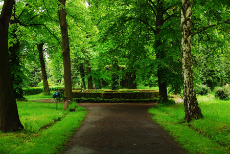 Friedhof Dresden Löbtau