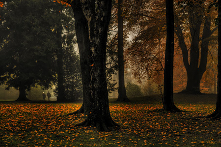 Herbst in Radevormwald - Froweinpark Bergerhof