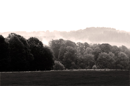 Ispingrade im Nebel