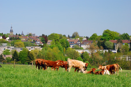 Bergische Idylle - Radevormwald