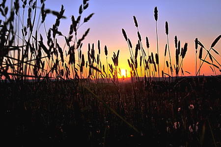 Sonnenuntergang über Wuppertal - von Önkfeld