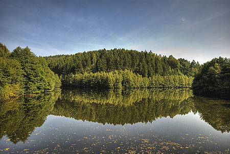 Die Wiebach Vorsperre in Radevormwald - Es wird langsam Herbst