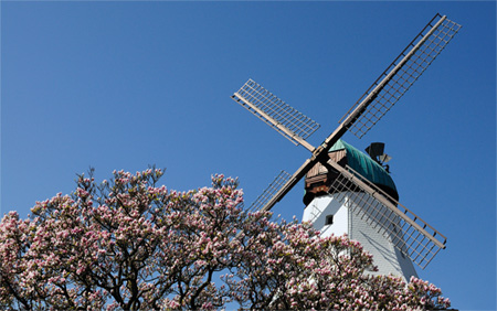 Windmühle Amanda, Kappeln