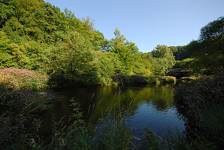 Die Wülfingbrücke vom Wupperufer aus fotografiert