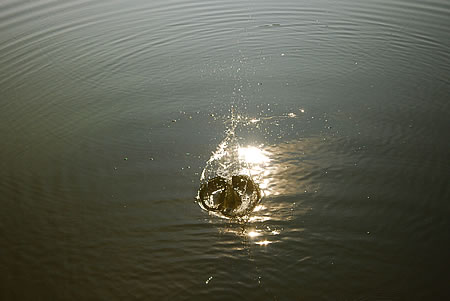 Fällt ein Stein ins Wasser...